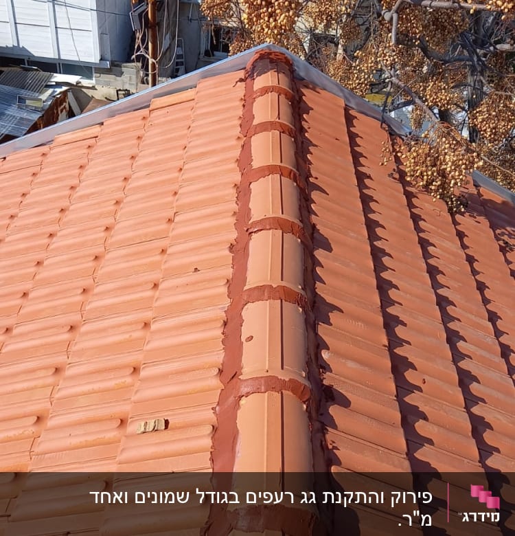 גג רעפים חום עם קו חיבור מרכזי